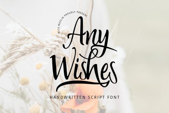 Any Wishes Font for Web Design