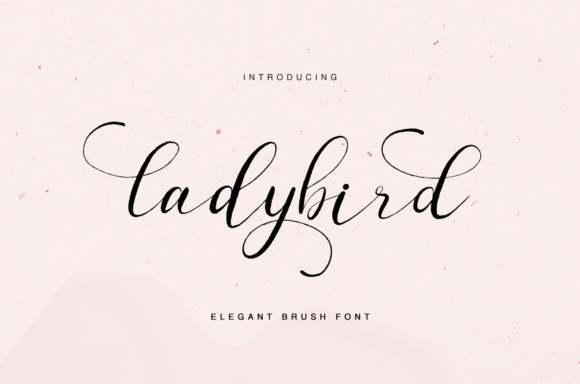 Beautiful Fonts for Business