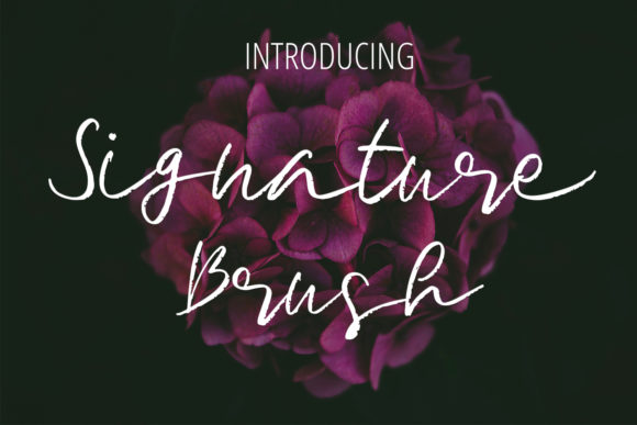 Signature Brush: A Flowing Handwritten Font