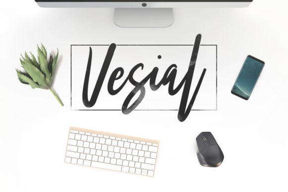 Vesial Brings Handcrafted Warmth to Modern Branding Projects
